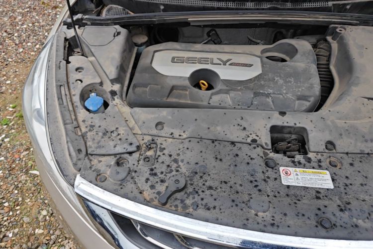 GEELY Emgrand GS 2017 car image #23