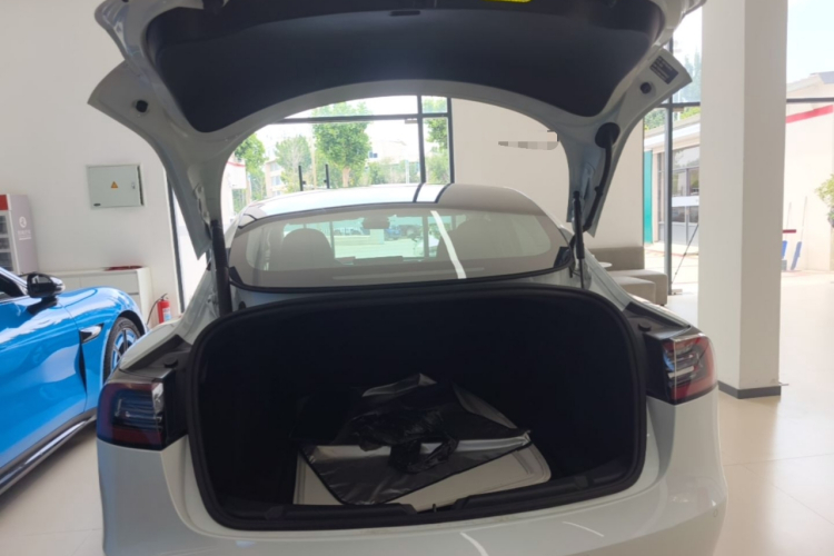 Tesla Model 3 2021 #19 Tesla Model 3 2021 car image #19