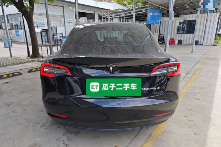Tesla Model 3 2020 car image #6