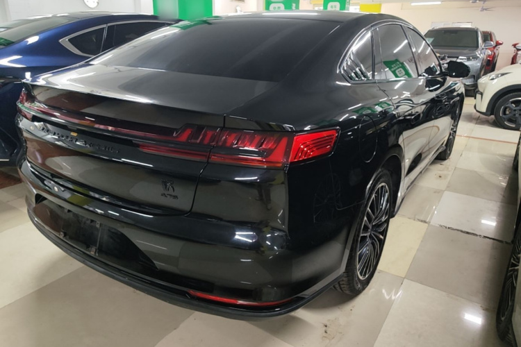 BYD Han 2021 #7 BYD Han 2021 صورة سيارة #7