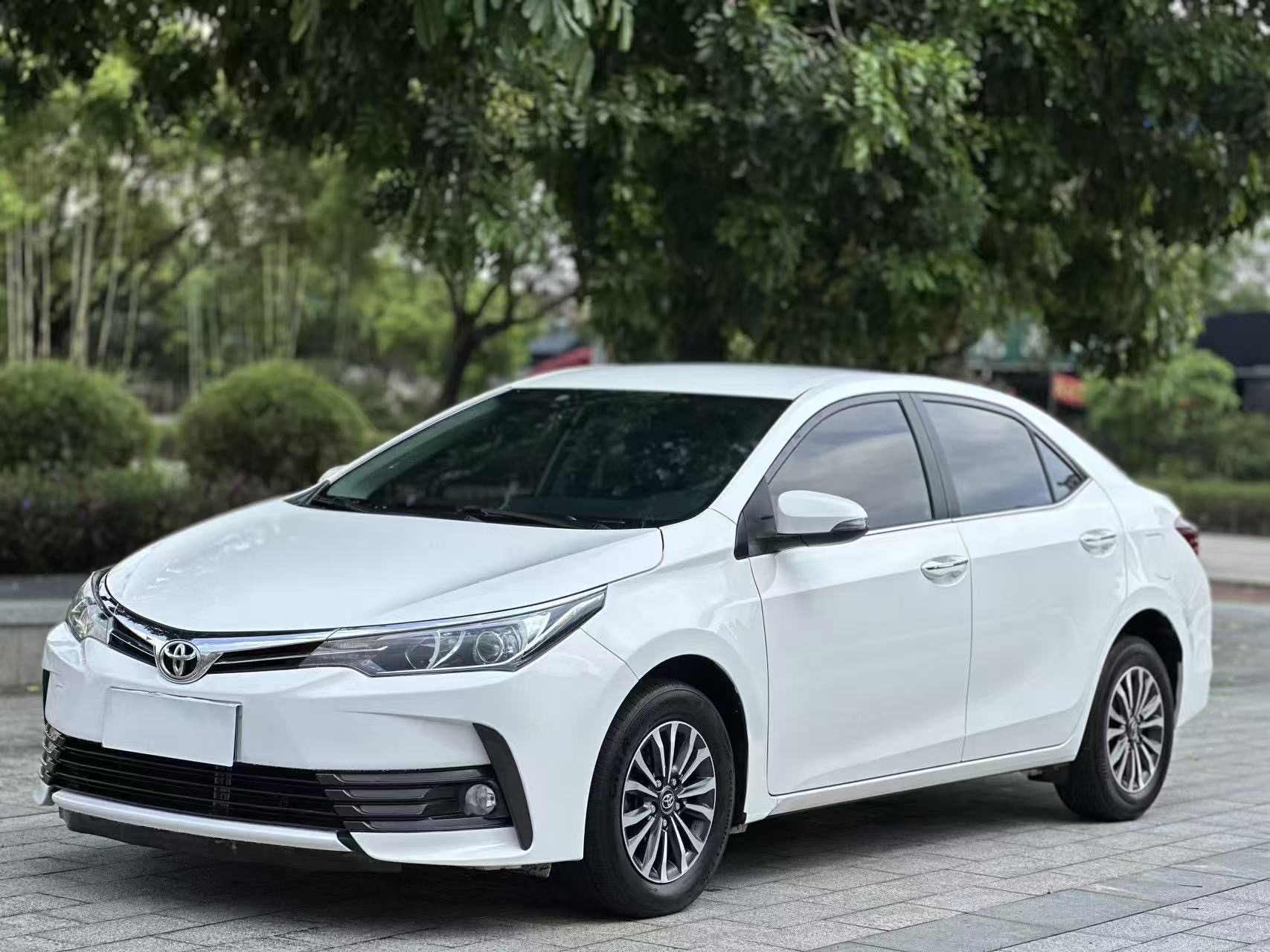 Toyota Corolla 2019 Toyota Corolla 2019 car image