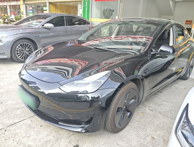 Tesla Model 3 2022 car image 