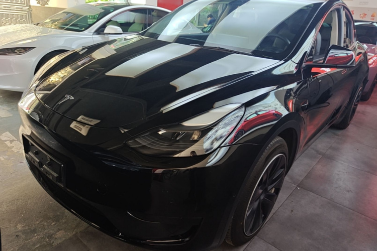 Tesla Model Y 2022 #2 Tesla Model Y 2022 car image #2
