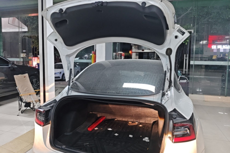 Tesla Model 3 2020 car image #19