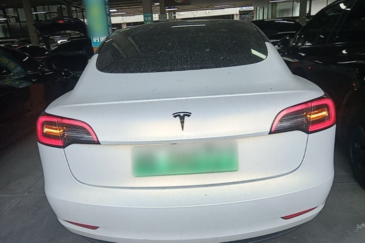 Tesla Model 3 2021 car image #6