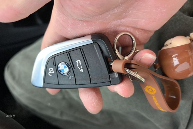 BMW X1 2019 car image #10