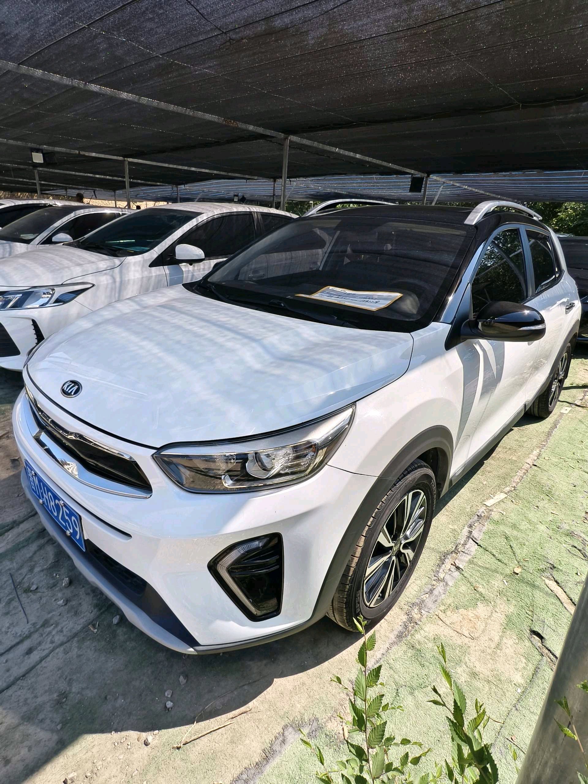 Kia KX1 2019 Kia KX1 2019 car image