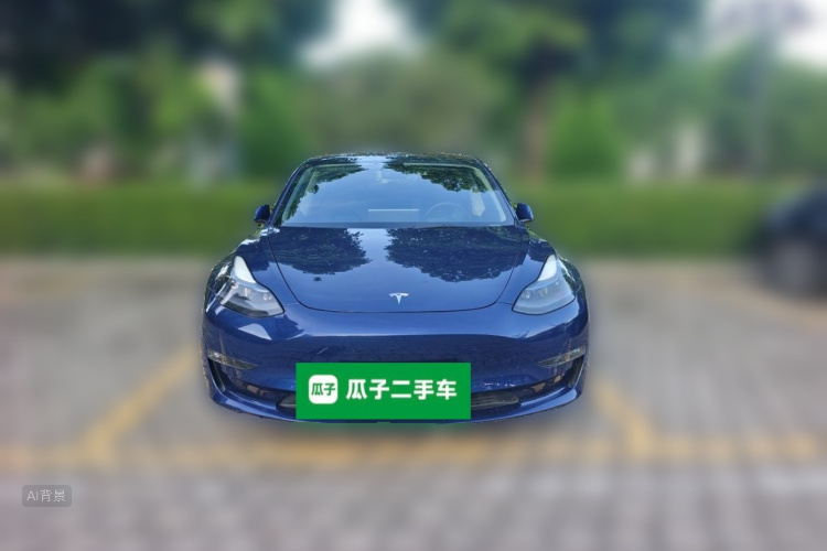 Tesla Model 3 2021 #3 Tesla Model 3 2021 car image #3