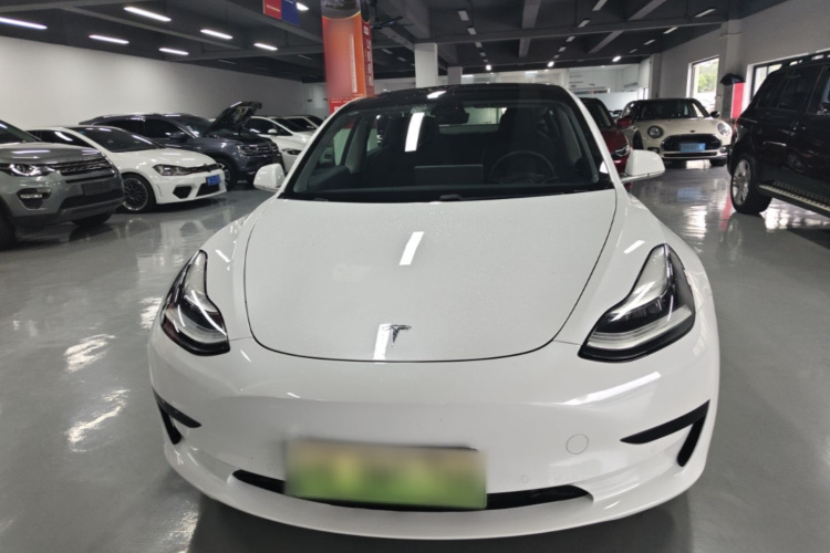 Tesla Model 3 2020 #3 Tesla Model 3 2020 car image #3