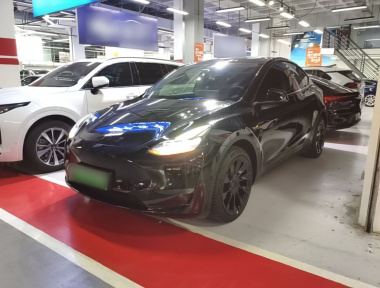 Tesla Model Y 2023 Tesla Model Y 2023 car image