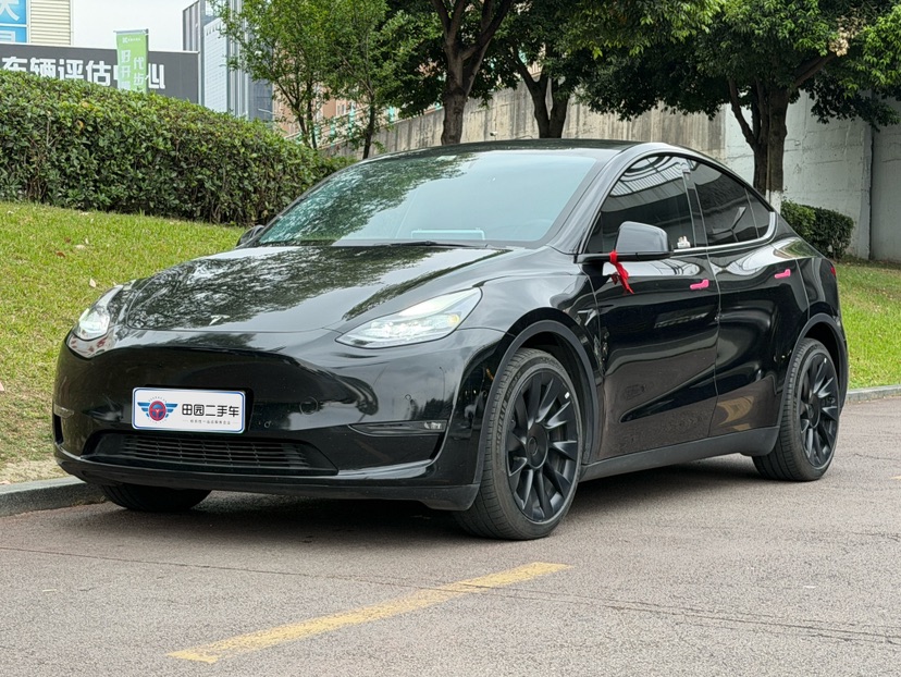 Tesla Model Y 2022 car image 