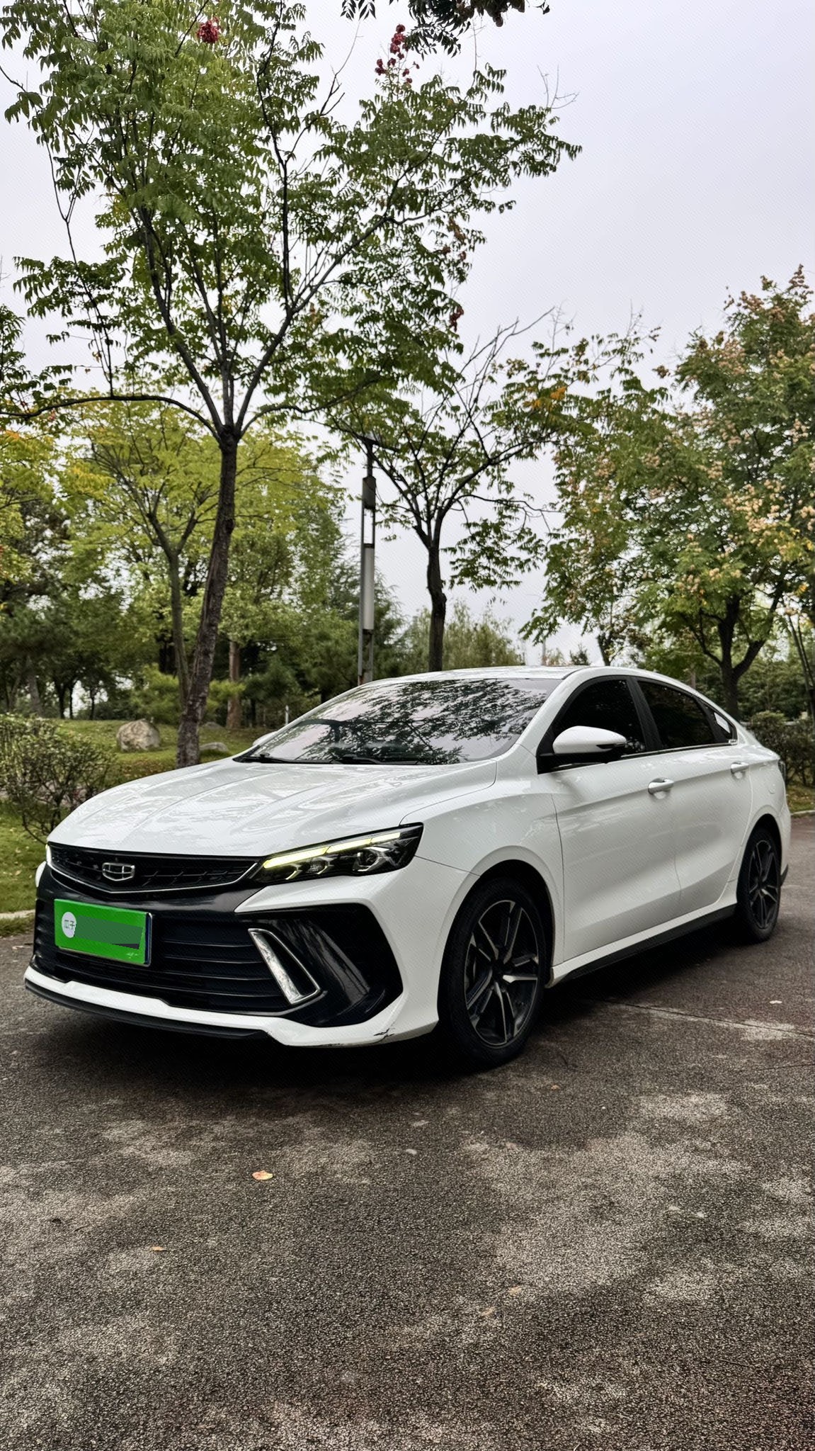 GEELY Binray 2023 immagine di auto 