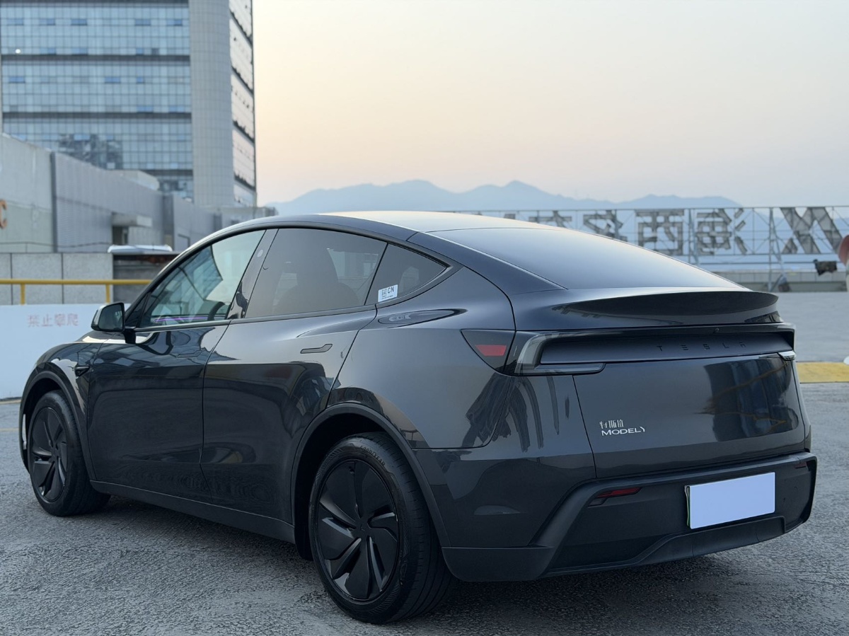 Tesla Model Y 2025 #9 Tesla Model Y 2025 car image #9