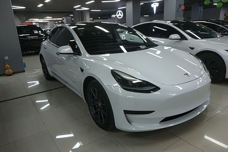 Tesla Model 3 2021 car image #6