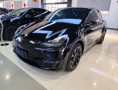 Tesla Model Y 2021 car image 