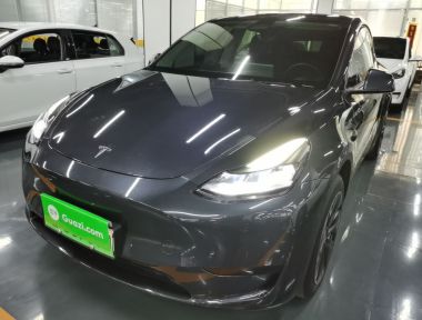 Tesla Model Y 2024 car image 