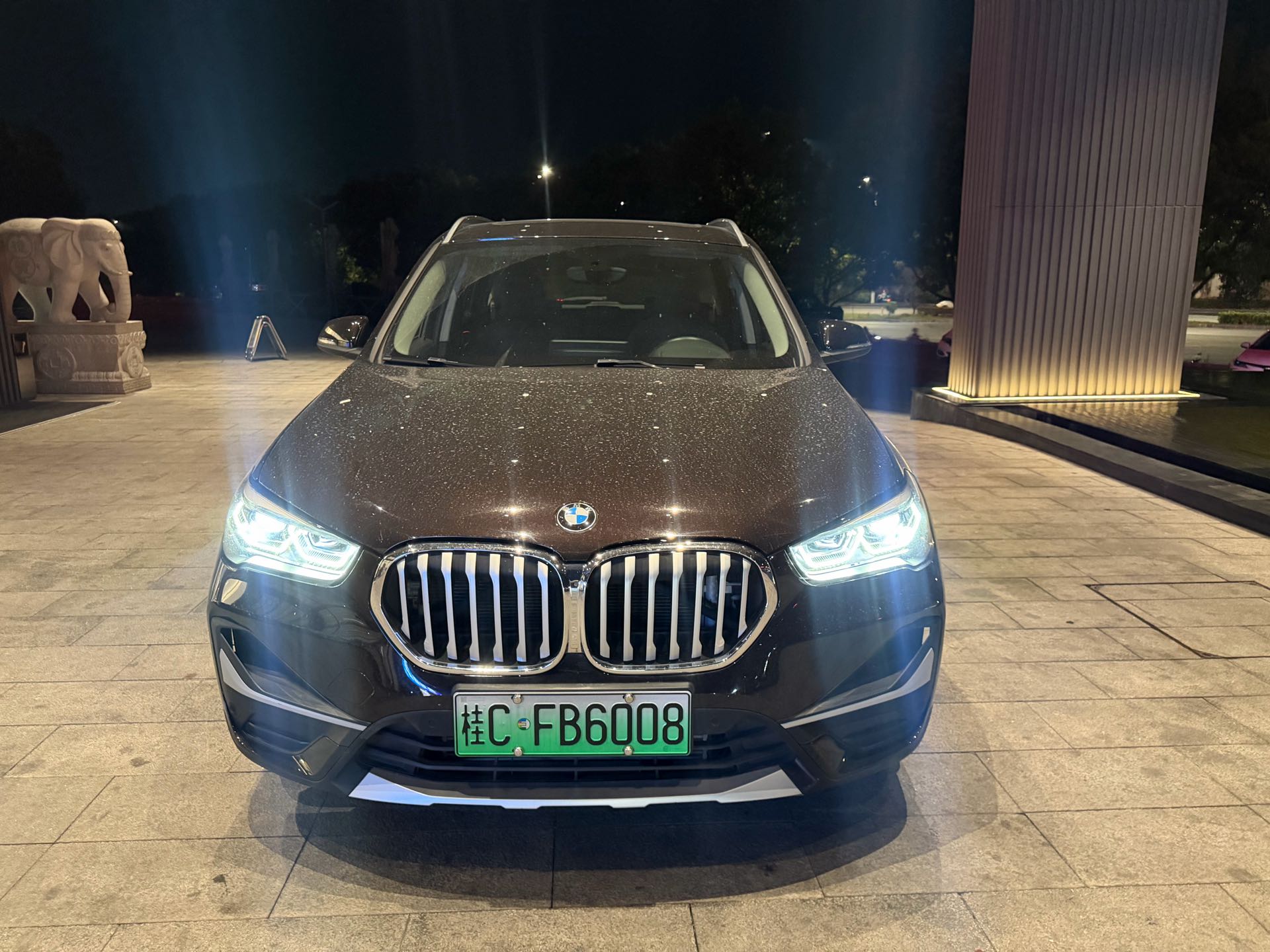 BMW X1 New Energy 2020 #2 BMW X1 New Energy 2020 car image #2