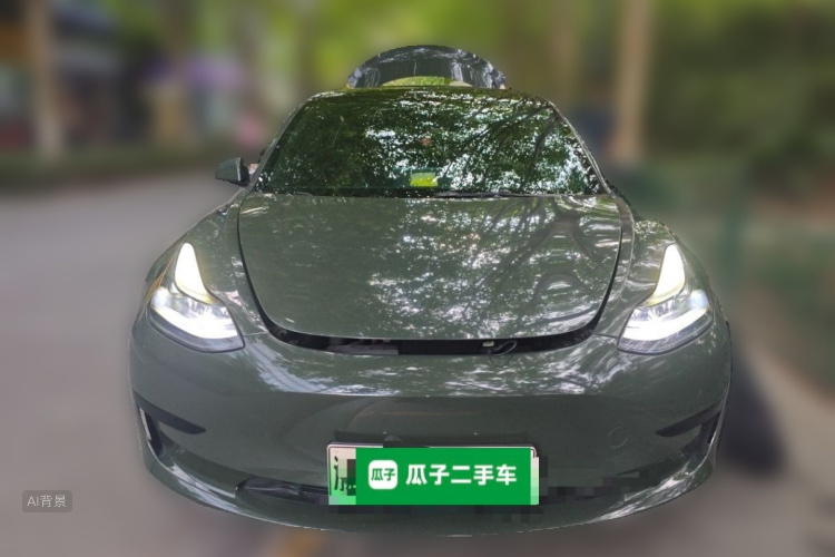 Tesla Model 3 2021 #3 Tesla Model 3 2021 car image #3