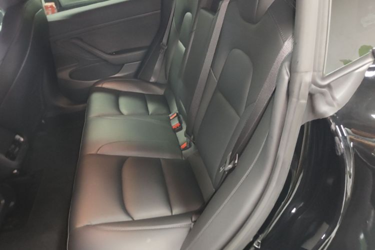 Tesla Model 3 2020 car image #17