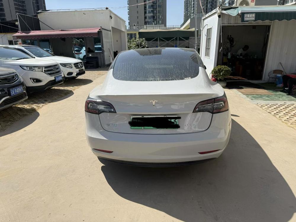 Tesla Model 3 2020 #6 Tesla Model 3 2020 car image #6