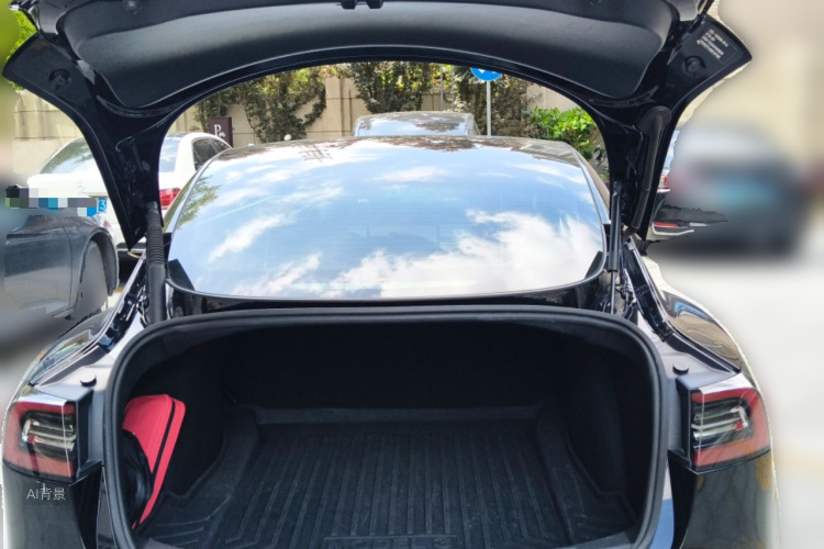 Tesla Model 3 2021 #21 Tesla Model 3 2021 car image #21
