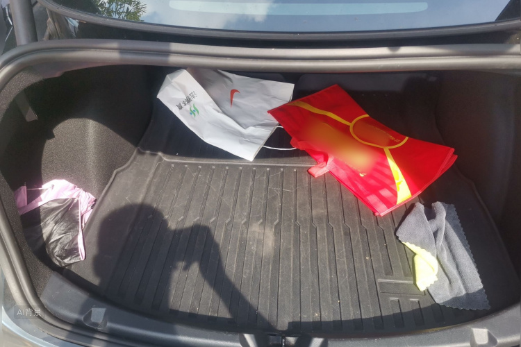 Tesla Model 3 2022 car image #21