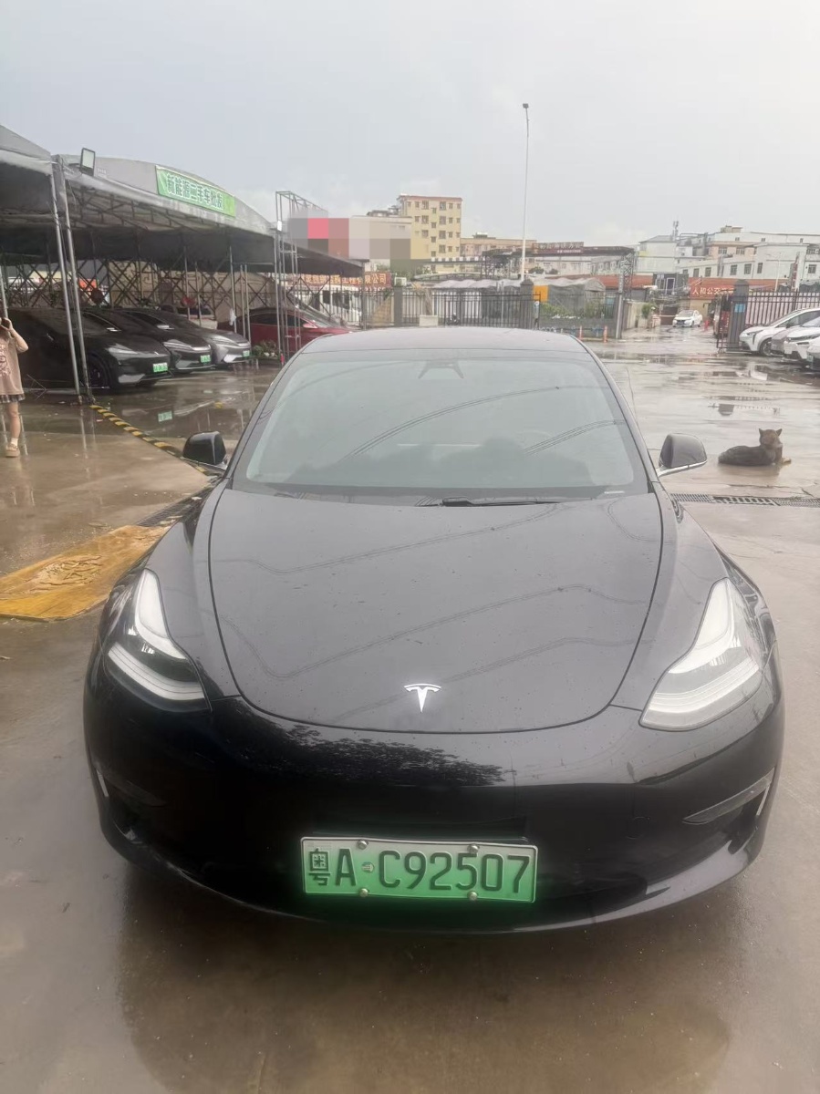 Tesla Model 3 (Imported) 2019 car image #2