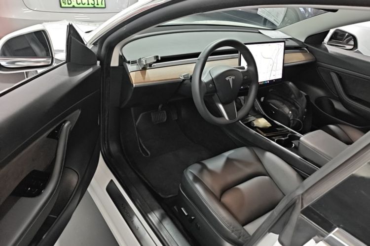Tesla Model 3 2020 car image #16