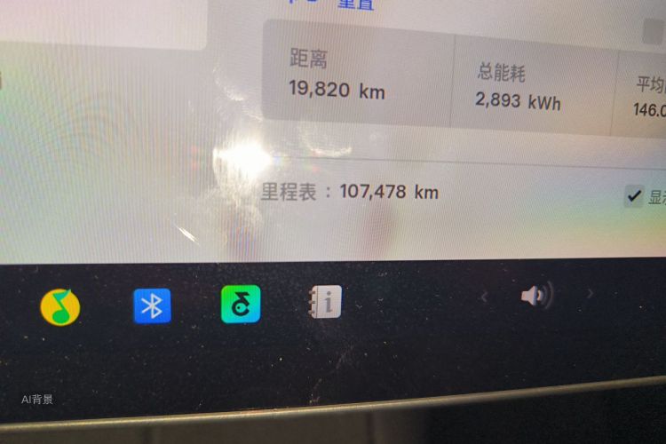 Tesla Model Y 2021 car image #14