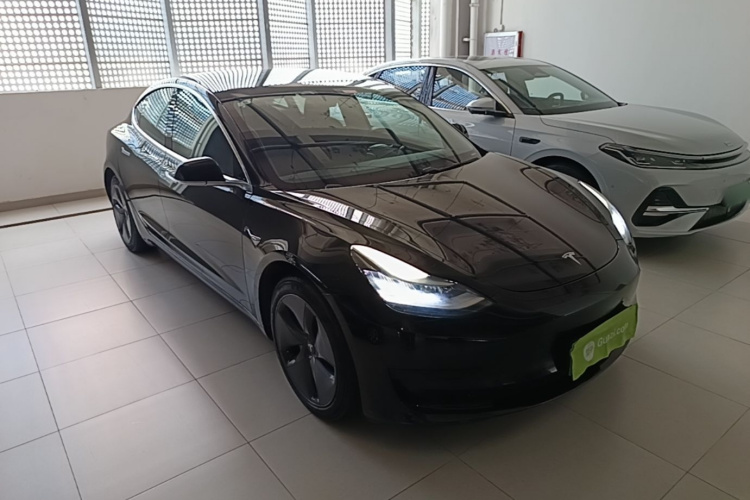 Tesla Model 3 2020 car image #4