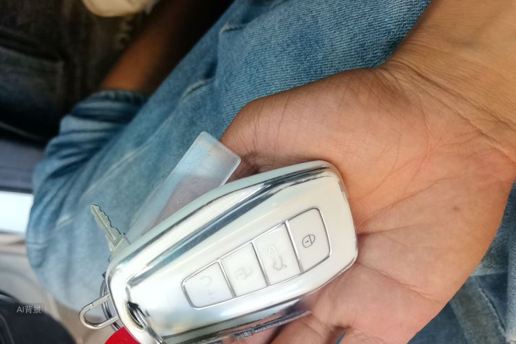 GEELY Emgrand L 2022 immagine di auto #10