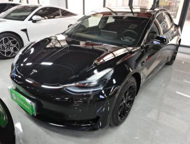 Tesla Model 3 2023 Tesla Model 3 2023 immagine di auto
