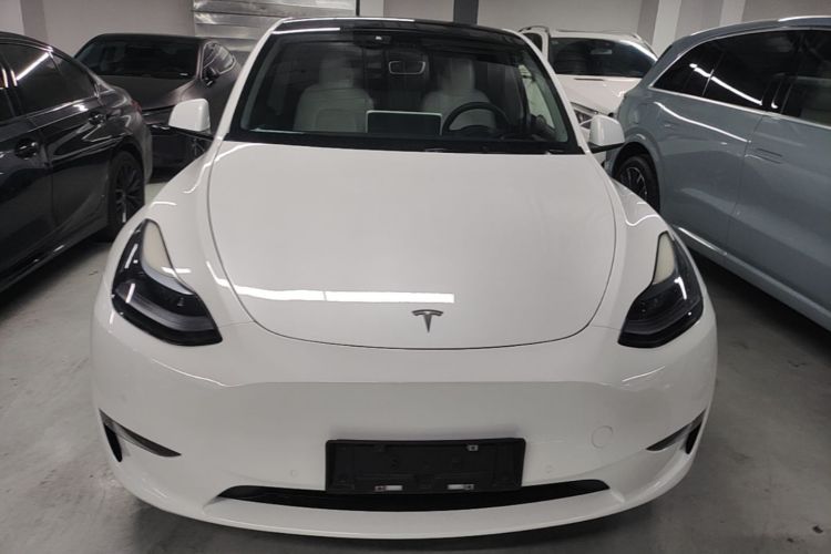 Tesla Model Y 2023 #3 Tesla Model Y 2023 car image #3