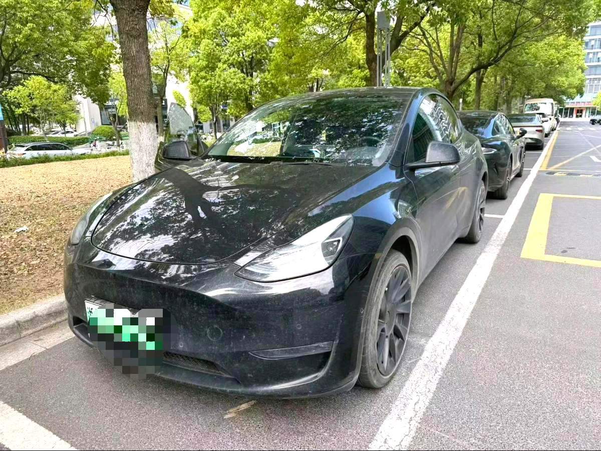 Tesla Model Y 2023 car image 