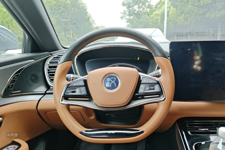 BYD Han 2022 car image #12