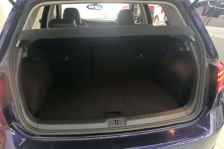 Volkswagen Golf 2020 car image #21