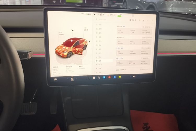 Tesla Model Y 2023 car image #13