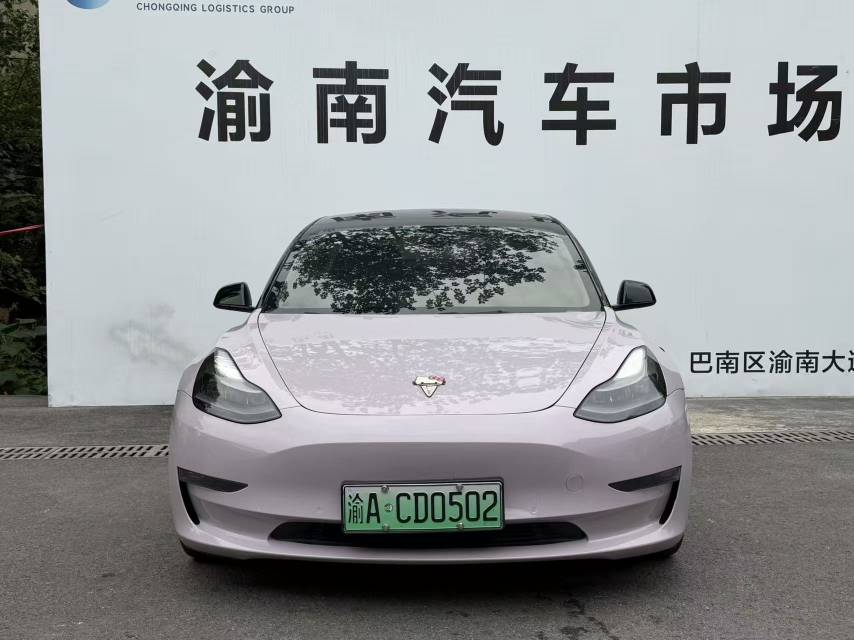 Tesla Model 3 2021 imagem de carro #5