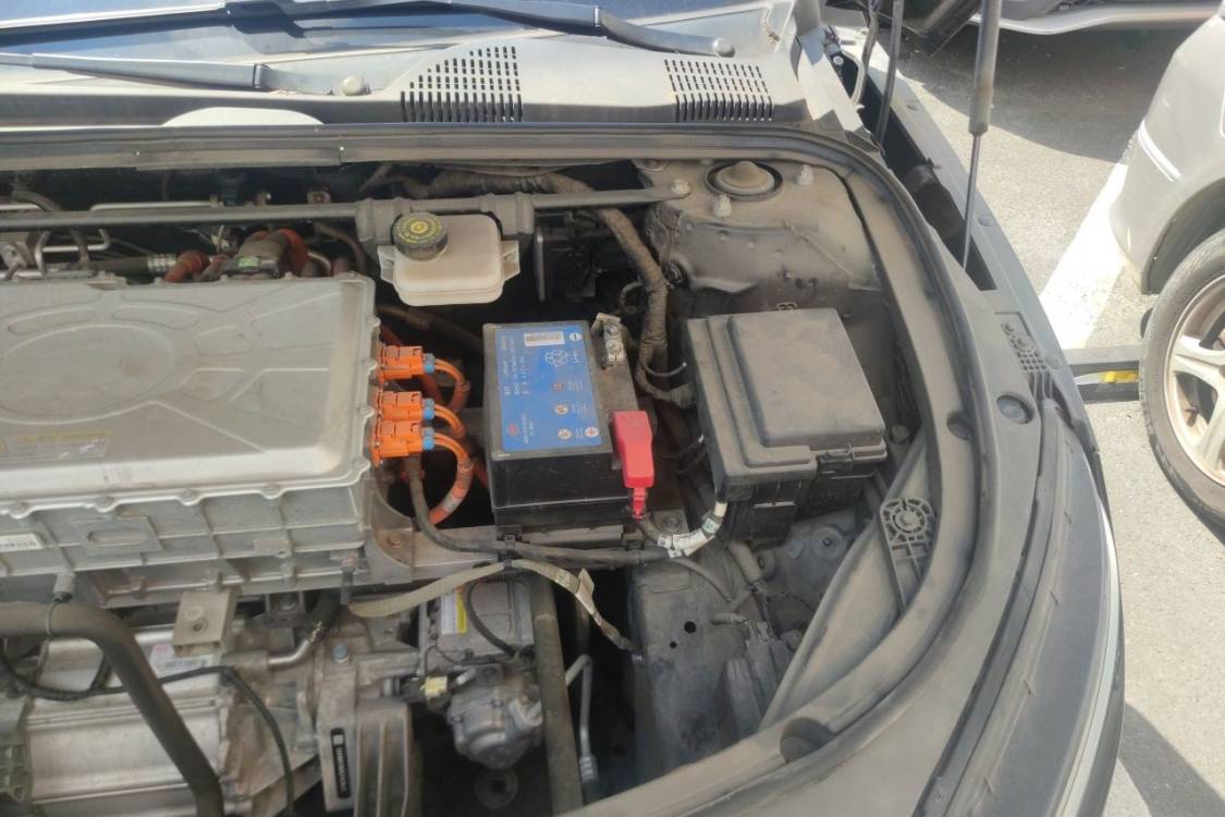 BYD Han 2020 #12 BYD Han 2020 immagine di auto #12