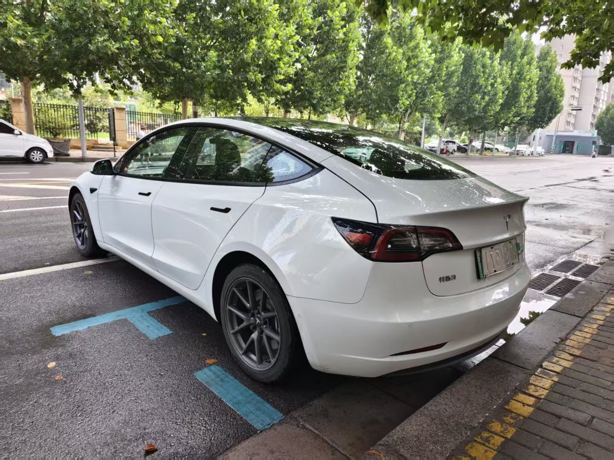Tesla Model 3 2021 #7 Tesla Model 3 2021 car image #7