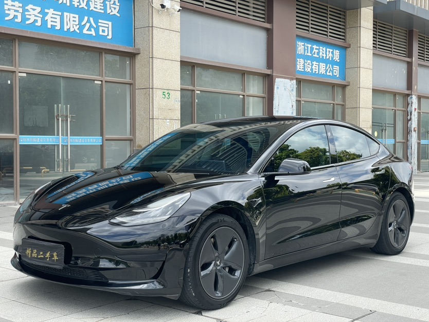 Tesla Model 3 2020 Tesla Model 3 2020 car image