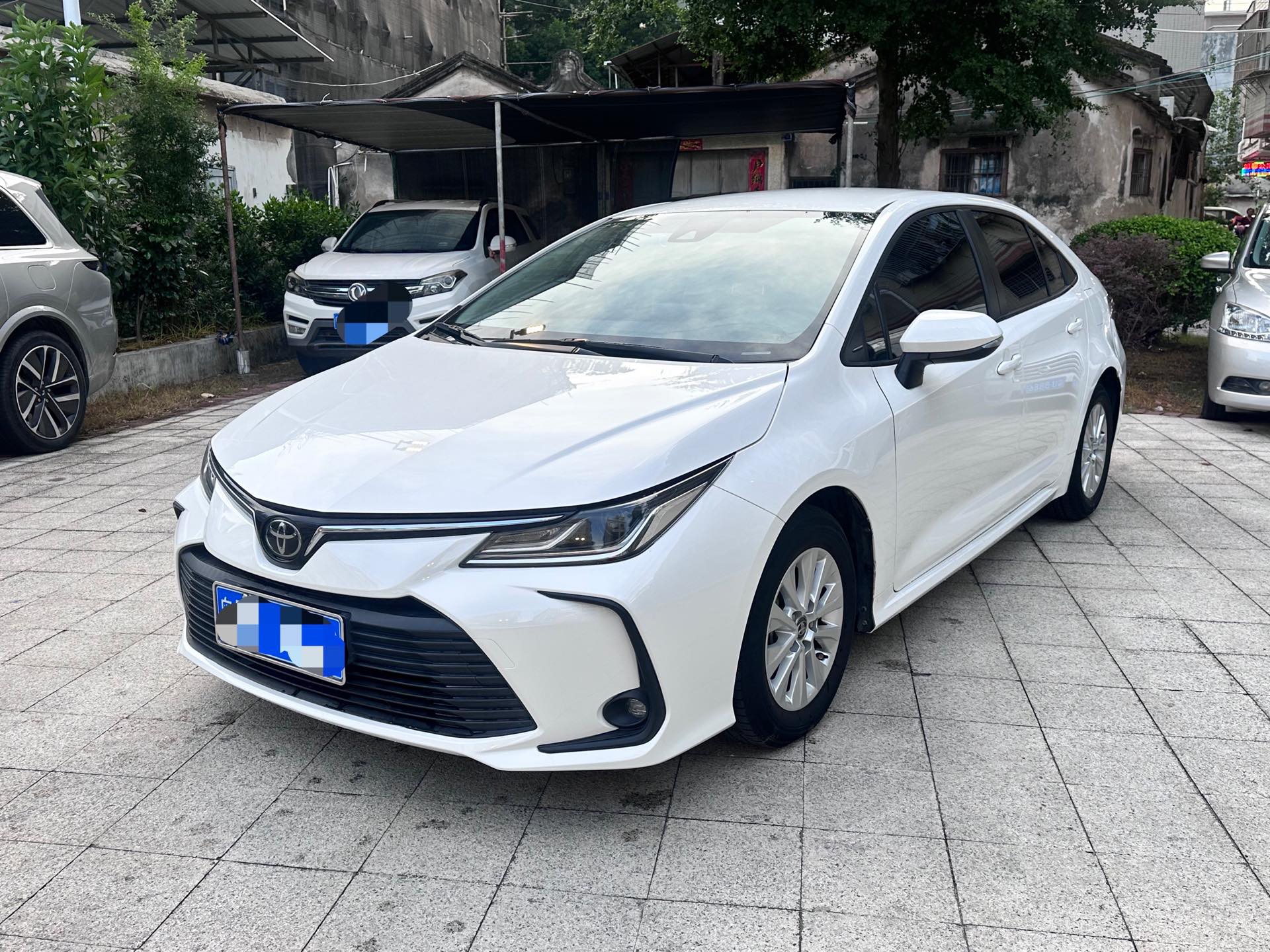 Toyota Corolla 2021 Toyota Corolla 2021 car image
