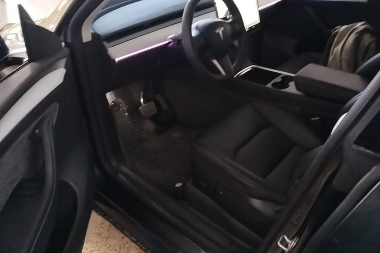 Tesla Model Y 2024 car image #16