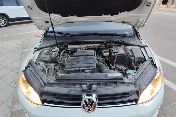 Volkswagen Golf 2016 car image #20