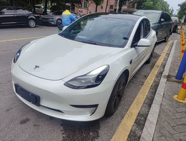 Tesla Model 3 2022 Tesla Model 3 2022 car image