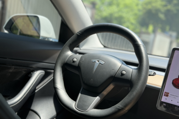 Tesla Model 3 2020 car image #17