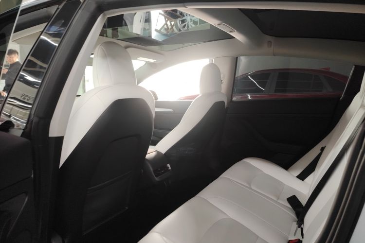 Tesla Model 3 2021 car image #17