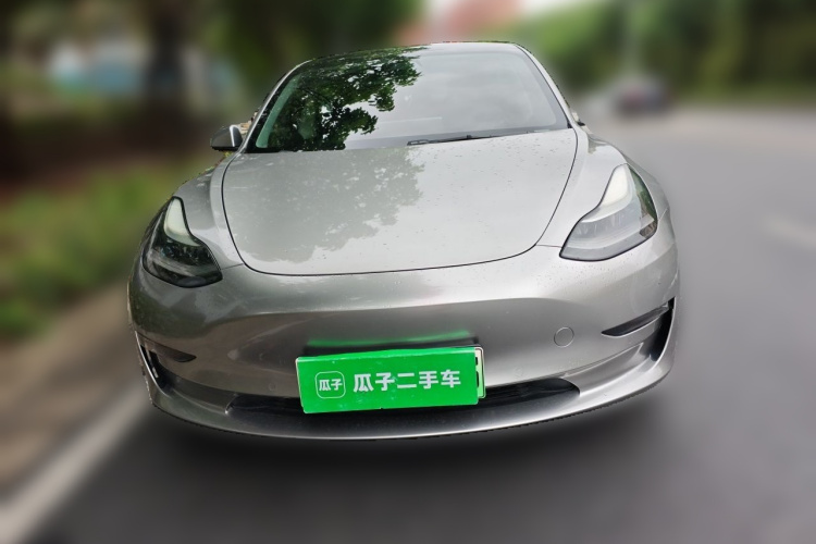 Tesla Model 3 2021 #3 Tesla Model 3 2021 car image #3