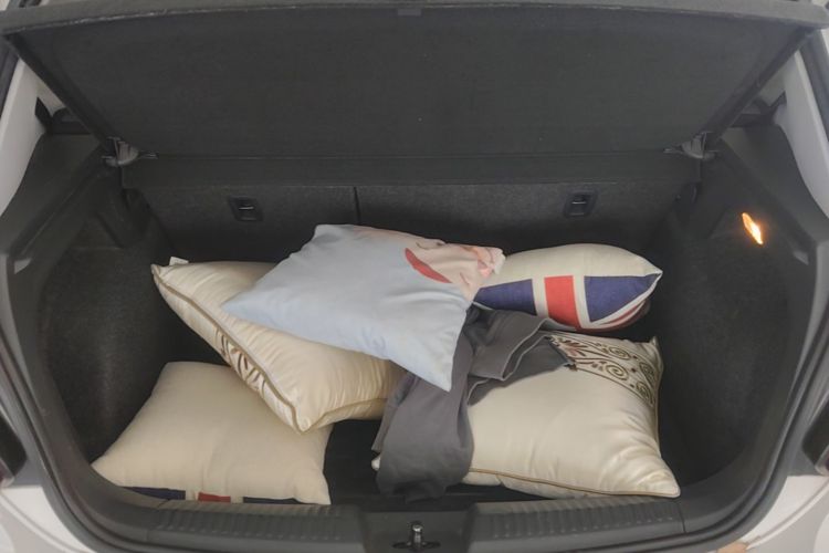 Volkswagen Polo 2019 car image #19
