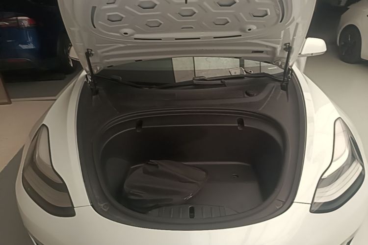Tesla Model 3 2020 car image #20